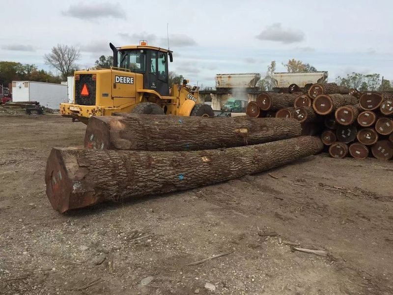 Κίνα Dongguan Yinghui Wood Industry Co., Ltd. Εταιρικό Προφίλ