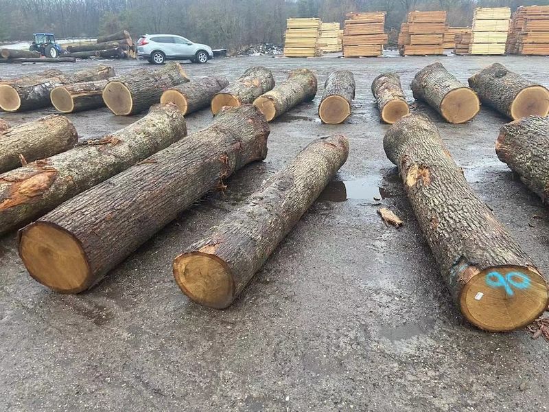 Κίνα Dongguan Yinghui Wood Industry Co., Ltd. Εταιρικό Προφίλ