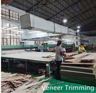 Dongguan Yinghui Wood Industry Co., Ltd. γραμμή παραγωγής κατασκευαστή